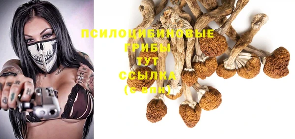 мет Покачи