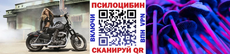 наркошоп  Чернушка  Галлюциногенные грибы Psilocybine cubensis 
